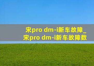 宋pro dm-i新车故障_宋pro dm-i新车故障数